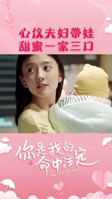 集邮者的收藏